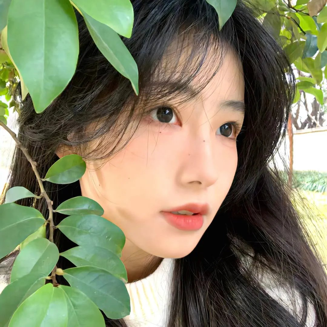 双子座计划